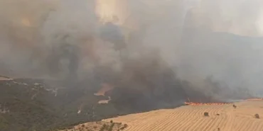 Manisa, Tekirdağ ve Çanakkale’de orman yangınlarına yoğun müdahale